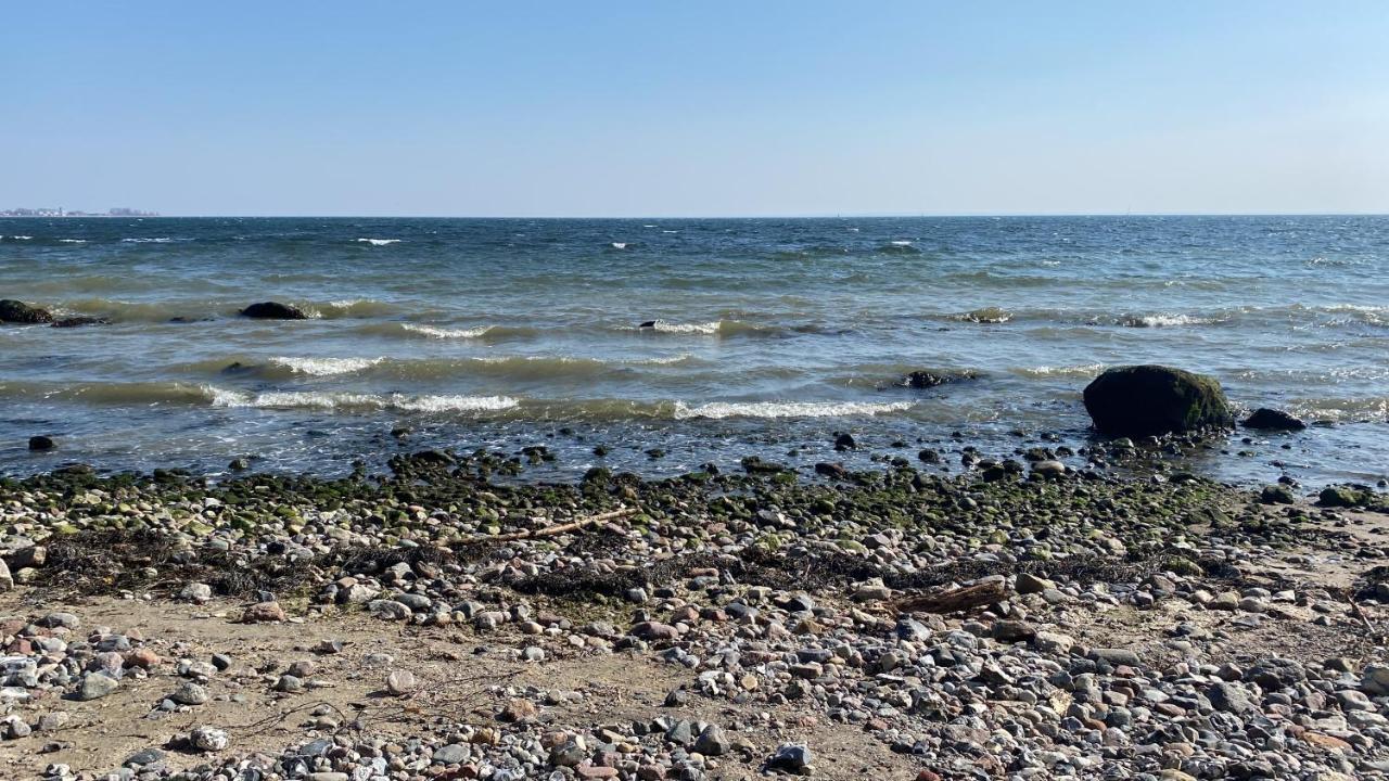 Oase Mit Meerblick, Schwimmbad & Nahe Hansapark, Kostenlos Parken Sierksdorf Ngoại thất bức ảnh
